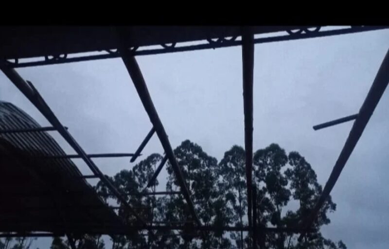 Corrientes | 30 familias afectadas por el temporal que afectó a la localidad de Alvear 3 alvear - 2