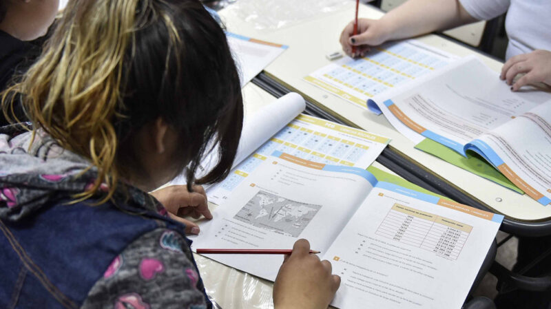Educación | Según un informe el 32% de las escuelas no conoce los resultados de las Pruebas Aprender aprender2 1 - 6