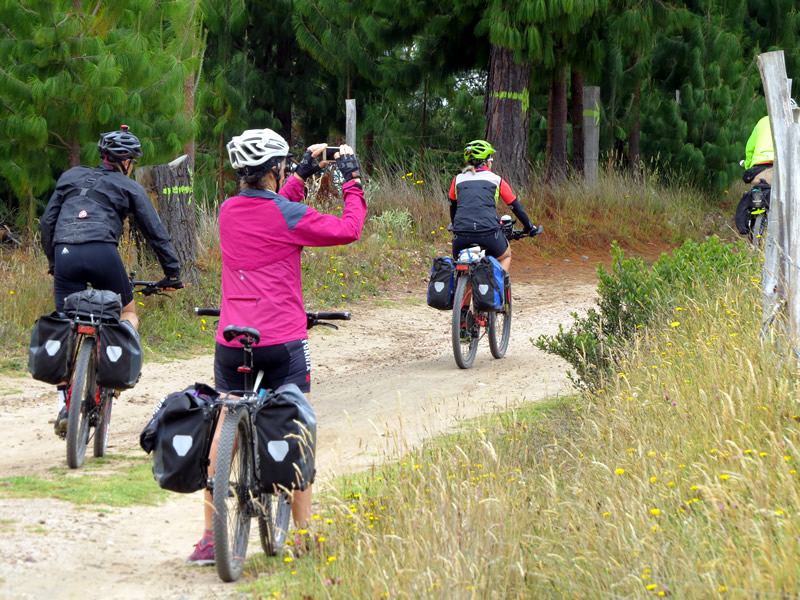Fin de semana con música, teatro y paseos guiados en Posadas 5 bicis - 4