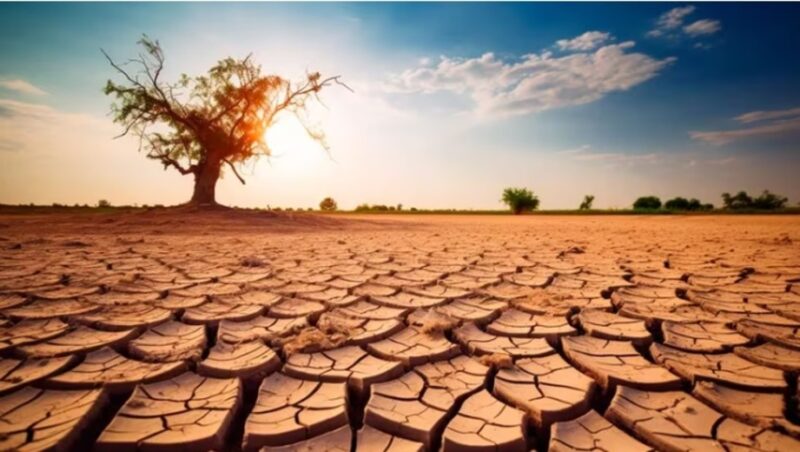 cambio climatico 1 - 4