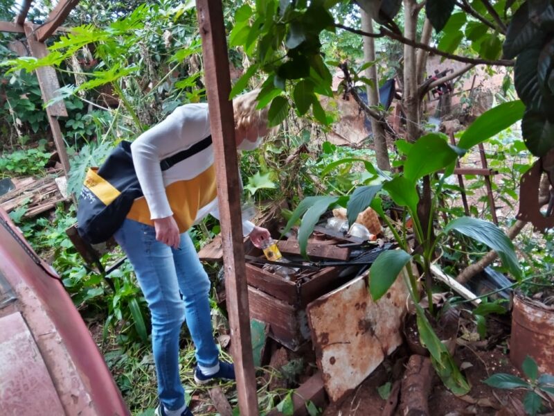 Dengue: Misiones adquirió nuevas dosis para la campaña de vacunación 2 dengue - 1