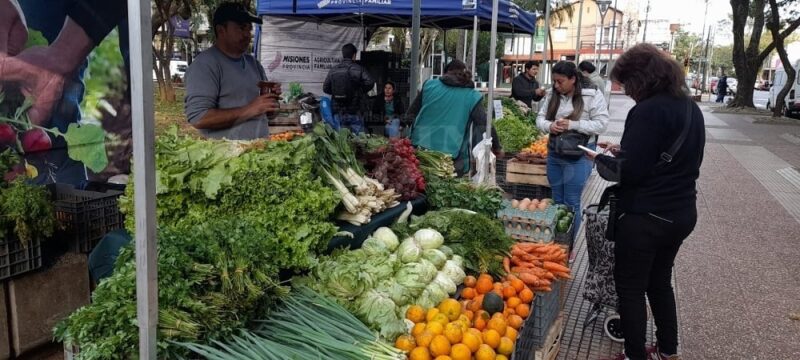 Feria Franca | Se habilitará una nueva sede en Posadas, funcionará en el Vicente Cidade 3 feria3 1 - 2