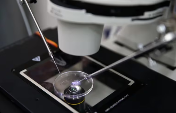 Investigación | Ensayan una técnica que podría permitir la concepción de niños con genes de dos hombres 6 genes - 5