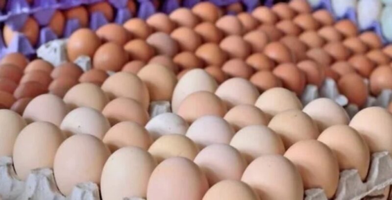 huevos 1 - 4
