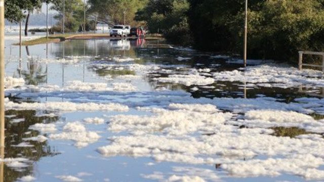 Denuncian contaminación de las aguas del río Paraná | “Esto no es nada nuevo porque todos miran para el costado” 3 image 22 - 2