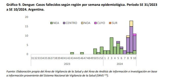 Misiones se ubica 2da en número de muertos por dengue según los datos de Salud Pública 3 image 37 - 2