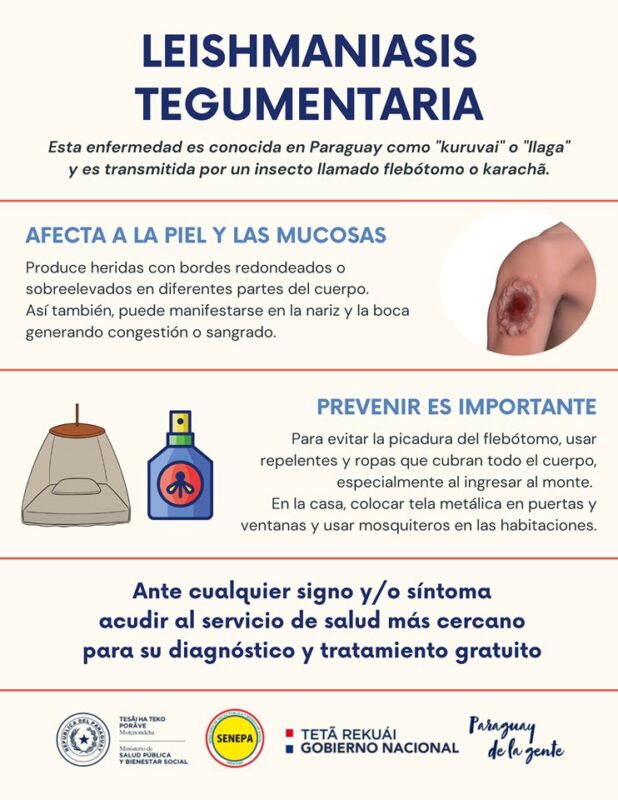 Paraguay | Detectan cuatro casos de Leishmaniasis Tegumentaria en la zona de Paraguarí 3 leishmaniasis - 2