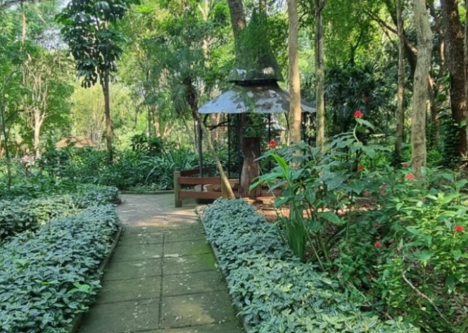 Oberá | Reinauguraron el Jardín de los Pájaros, con una impronta de cuidado ambiental 5 pajaros5 - 4