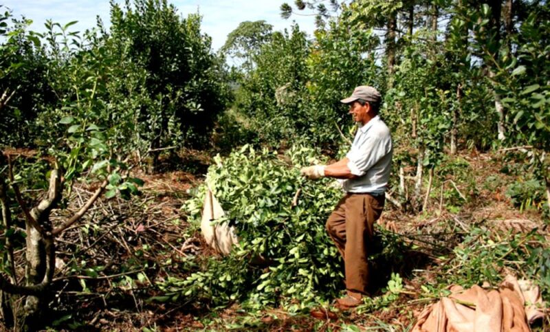 Peones rurales: “Se hace difícil actualizar salarios con las políticas de Nación” 2 peones rurales - 1
