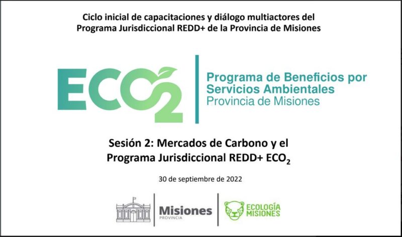 Fuertes críticas al programa de bonos de Carbono del Ministerio de Ecología | “Tiene un enfoque recaudatorio y no de promoción de reducción de la pérdida de bosques” 7 programa bonos carbono eco2 ministerio ecologia misiones - 6