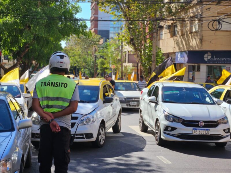 “Para las empresas de taxis y remises es muy difícil competir con UBER en Posadas”, destacó propietaria de empresa Cristo Rey 3 remises - 2