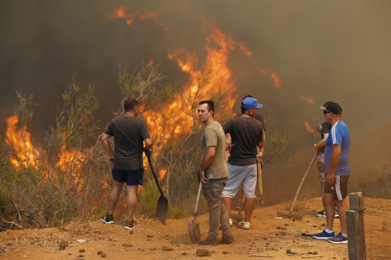 Chile | Un Incendio forestal afectó cerros de Valparaíso y destruyó 15 viviendas 3 valparaiso - 2
