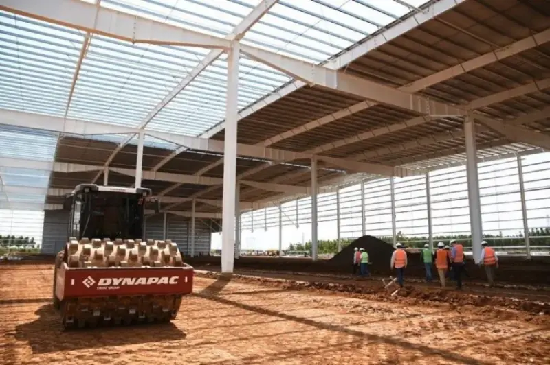 Corrientes | Inauguran en Virasoro el aserradero más grande del país con 800 puestos de trabajo 229328w8505c - 2