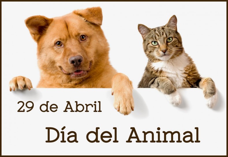 Dia del animal - 3