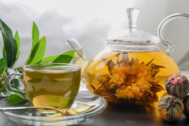 Fitoterapia | Un enfoque natural para la salud y el bienestar 8 Fito - 7