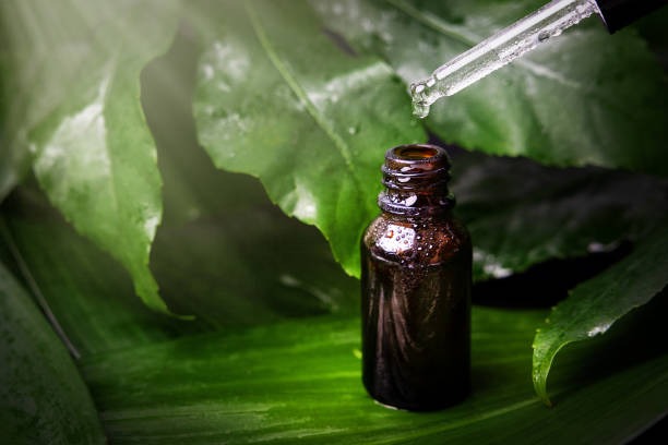 Fitoterapia | Un enfoque natural para la salud y el bienestar 10 Fitoterapia 4 - 9