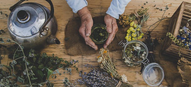Fitoterapia | Un enfoque natural para la salud y el bienestar fitoterapia