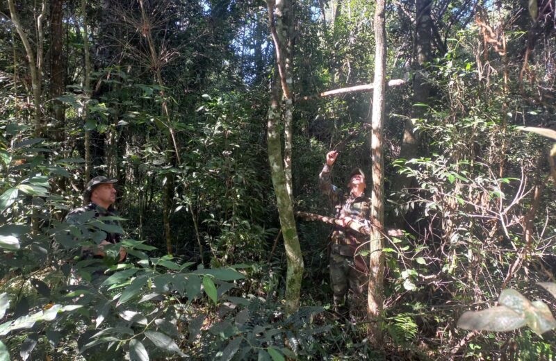 Puerto Iguazú | Desactivan en el Parque Provincial Puerto Península varias trampas adaptadas para cazar animales silvestres IMG 20240422 WA0091 - 9