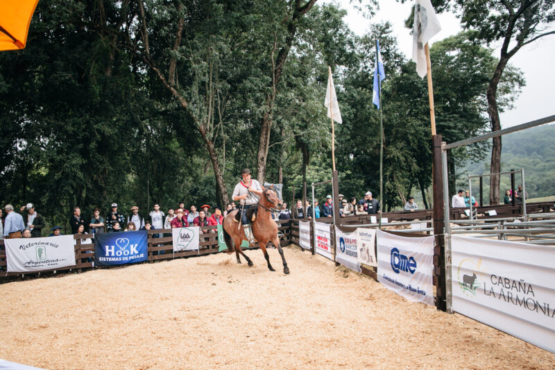Anuncian un nuevo remate y concurso de salto organizados por la Sociedad Rural Ovina, Caprina, Equina y Porcina de Misiones (SROCEPM) en San José 7 SROCEPM 1 1 - 6