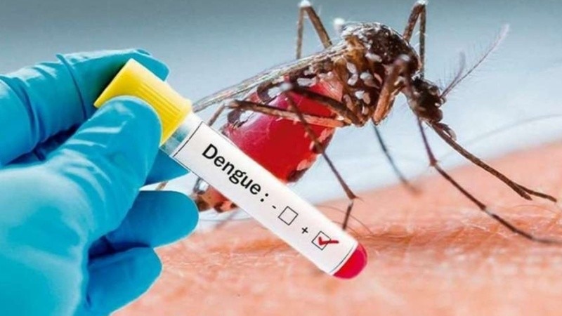 Dengue