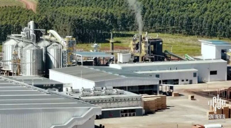 Corrientes | Se inauguró en Virasoro el aserradero moderno más grande de América Latina Virasoro