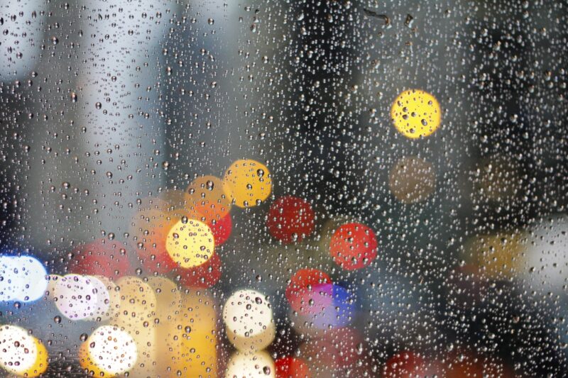 Lluvia | ¿Cómo afectan los días lluviosos a los perros y gatos? 3 WhatsApp Image 2024 04 22 at 13 - 2