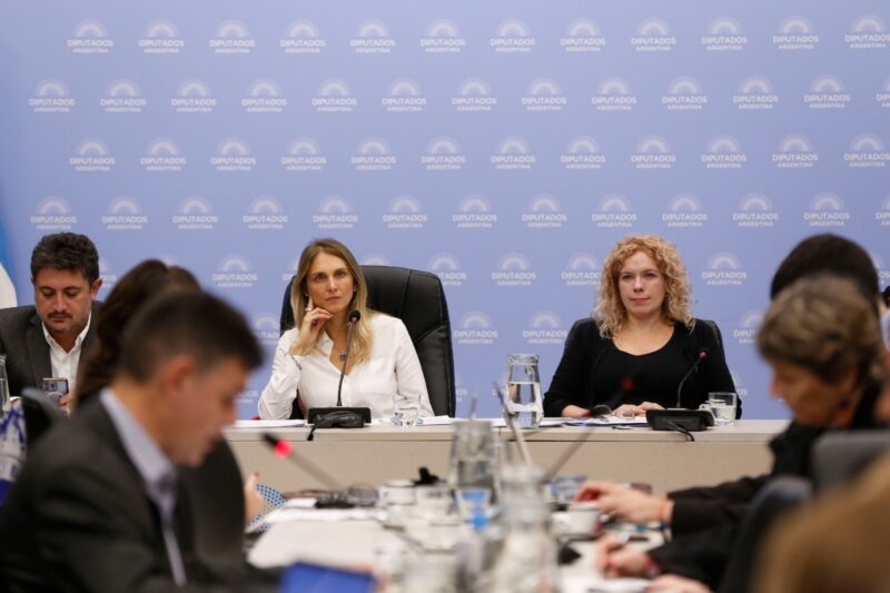 Diputados | Se oficializó la sesión para debatir sobre financiamiento universitario, FONID y jubilaciones 11 brouver comision prevision social - 10