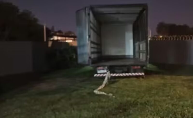 camion - 7