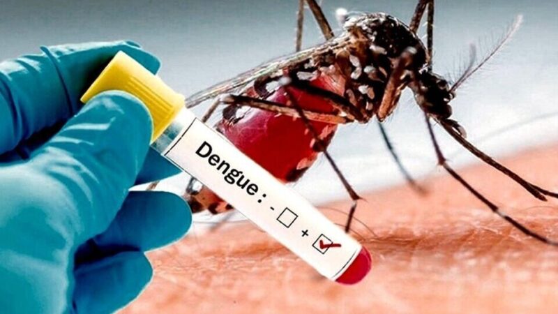 Corrientes | Comienza la campaña de vacunación gratuita contra el dengue La evidencia científica y los datos de vida real refuerzan el rol de la vacunación como herramienta clave para reducir casos graves y hospitalizaciones por dengue.