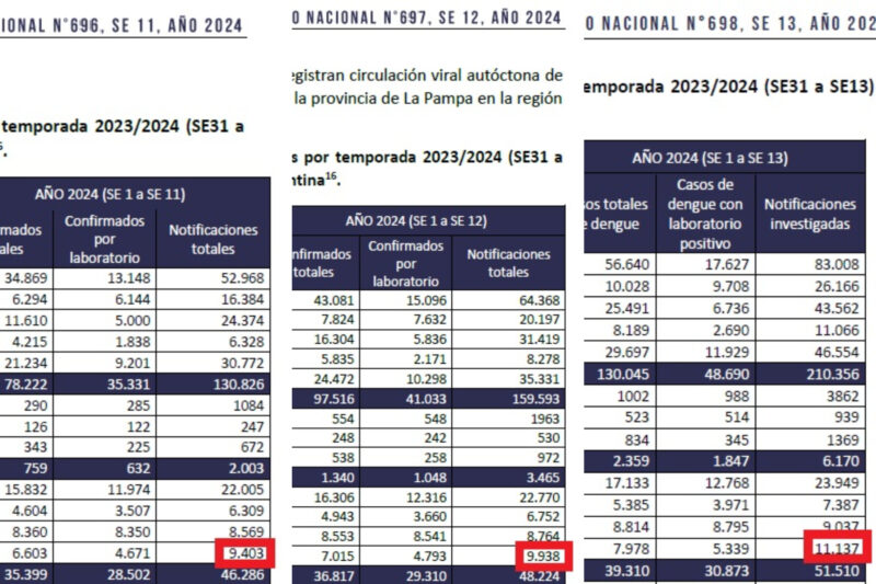 Fuerte suba de contagios de dengue en Misiones | Hubo 1.199 casos en la última semana de marzo y se registra un deceso cada 902 notificaciones 3 dengue en misiones en Semanas Epidemiologicas 11 12 y 13 del 2024 - 2