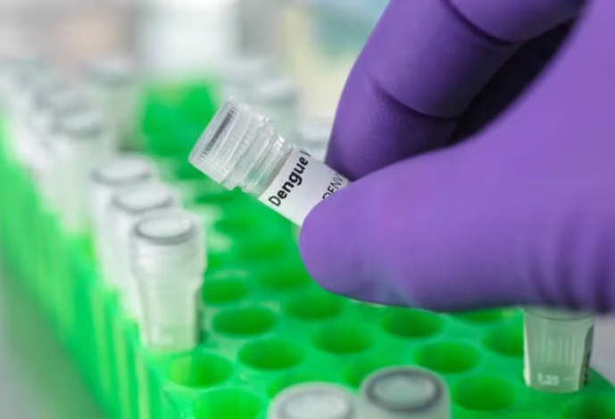 Por la gran cantidad de casos de dengue, advierten que puede haber más reinfecciones y casos graves dengue - 6