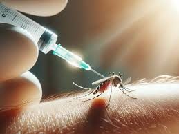 Dengue | Cómo solicitar la vacuna contra la enfermedad y quiénes están habilitados para recibirla 3 image 12 - 2