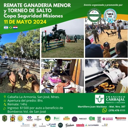 Anuncian un nuevo remate y concurso de salto organizados por la Sociedad Rural Ovina, Caprina, Equina y Porcina de Misiones (SROCEPM) en San José 13 image 25 - 12