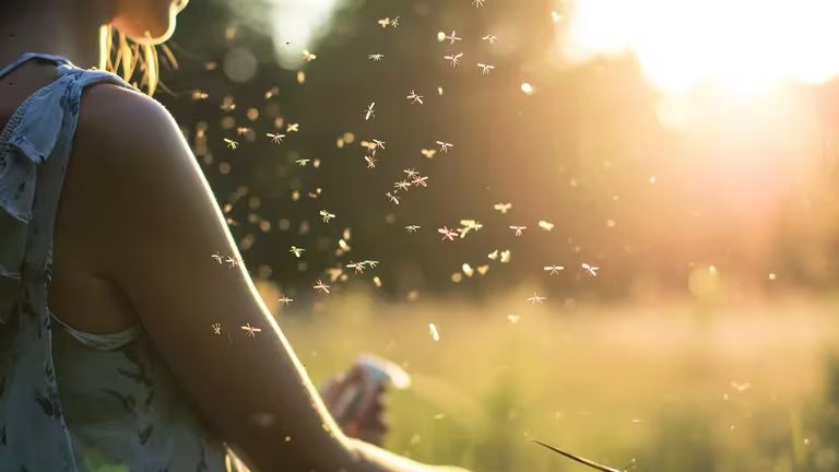 Por la gran cantidad de casos de dengue, advierten que puede haber más reinfecciones y casos graves 5 image 3 - 4