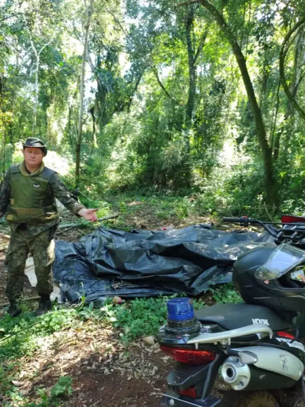 Desarmaron campamentos furtivos y destruyeron trampas en una zona de monte protegido en Eldorado ll - 4
