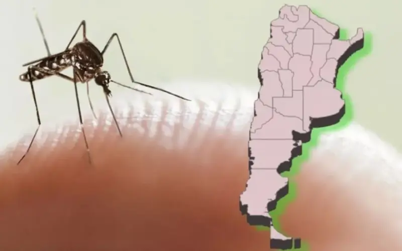 Brote de dengue en Argentina | Ya son más de 230 mil los casos y 161 muertes md - 4