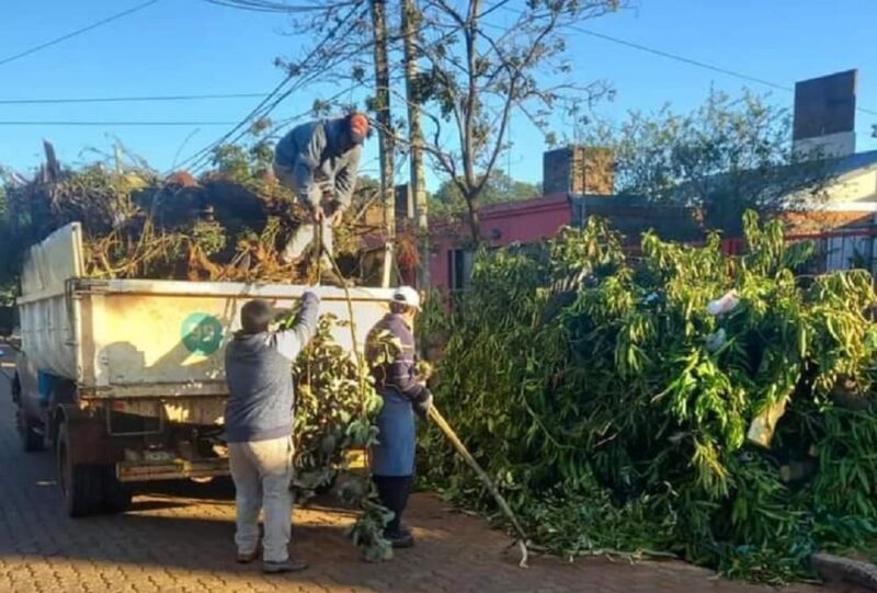 operativos de poda 31 05 2022 - 4