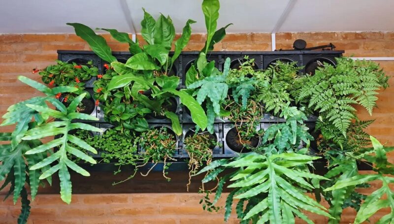 Paredes “naturadas” | El INTA dio claves para armar jardines y huertas verticales en muros de casas y edificios 3 pared verde 2 - 2