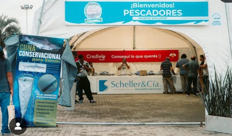 Corrientes | La Fiesta Nacional del Surubí alcanzó un nuevo récord con 1160 equipos registrados surubi - 6