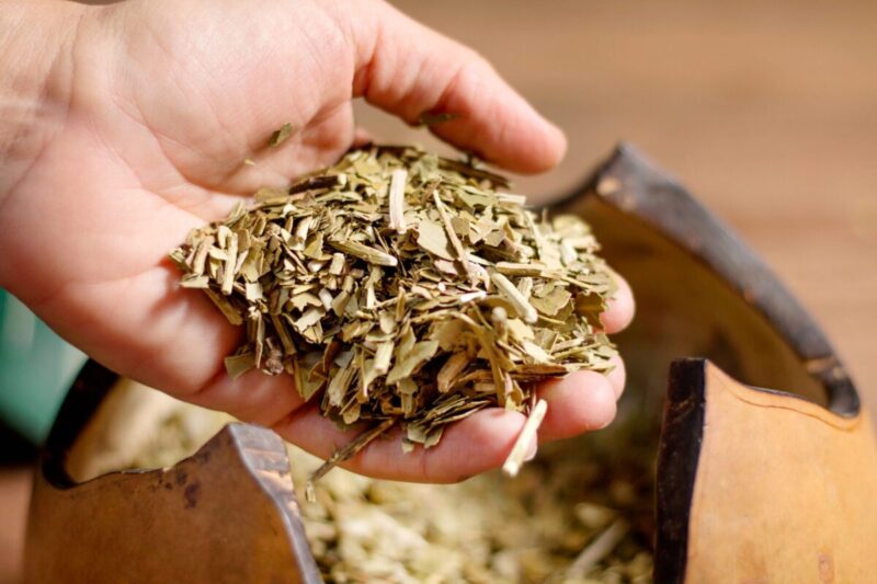 Nelson Dalcolmo estará de manera interina al frente del directorio del Instituto Nacional de la Yerba Mate Los productores enfrentan una temporada crítica con la hoja verde por debajo de los costos de producción.
