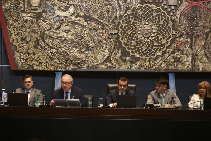 Passalacqua confirmó que en Misiones hubo 180 suicidios en los últimos 12 meses 10 Passalacqua apertura de sesiones 2024 3 - 9