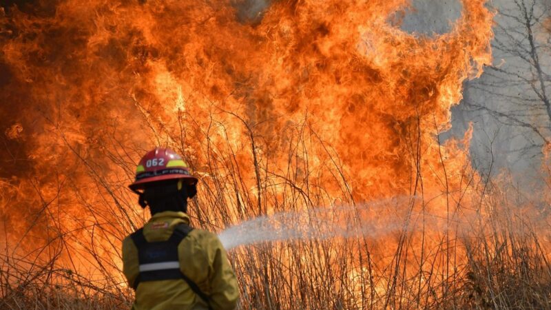 Día Internacional del Bombero Forestal