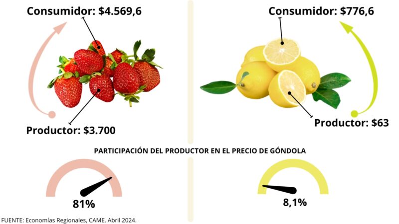 Producción | En abril, los precios de los agroalimentos se multiplicaron por 3,5 desde el campo a la góndola 4 comparacion - 3