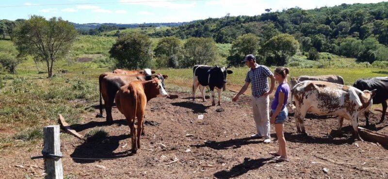 Misiones | Impulsan la implementación de la homeopatía animal 4 homeopatia animal1 - 3