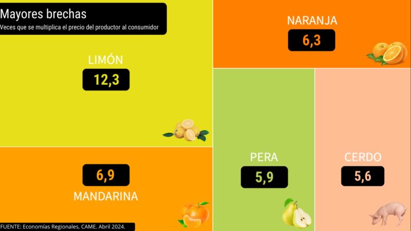 Producción | En abril, los precios de los agroalimentos se multiplicaron por 3,5 desde el campo a la góndola 6 mayores brechas - 5