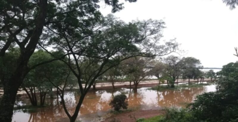Corrientes | Paso de los libres emitió un alerta por la crecida del río Uruguay paso de los libres 1 - 5