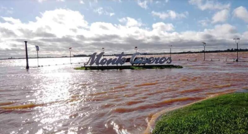 rio uruguay 1 1 - 10