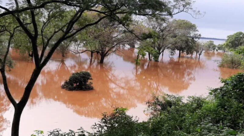 Corrientes | El río Uruguay sigue creciendo y deja casi 200 evacuados en Santo Tomé rio uruguay - 5