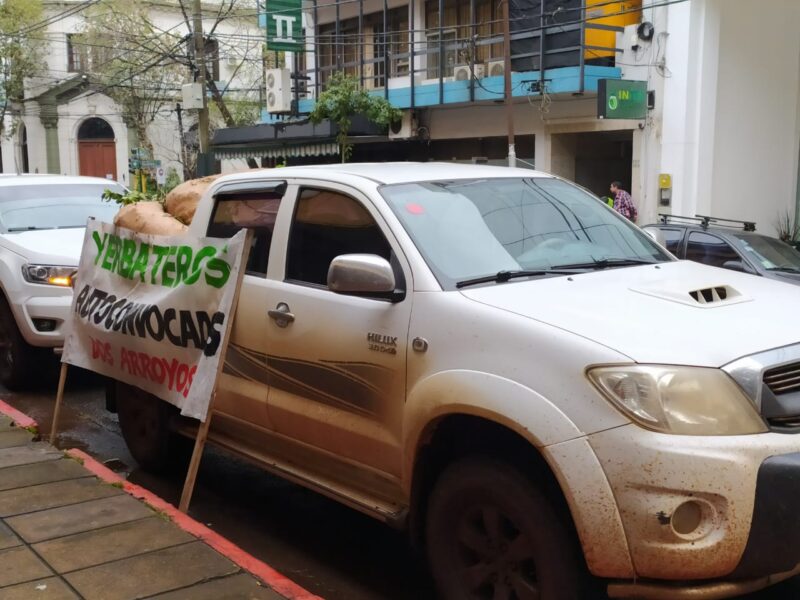 Protestas en Misiones | Yerbateros rechazan la liberación de importaciones de hoja verde y exigen un precio mínimo de $375 3 yerbateros autoconvocados protestan en el INYM contra la liberacion de importaciones 5 - 2