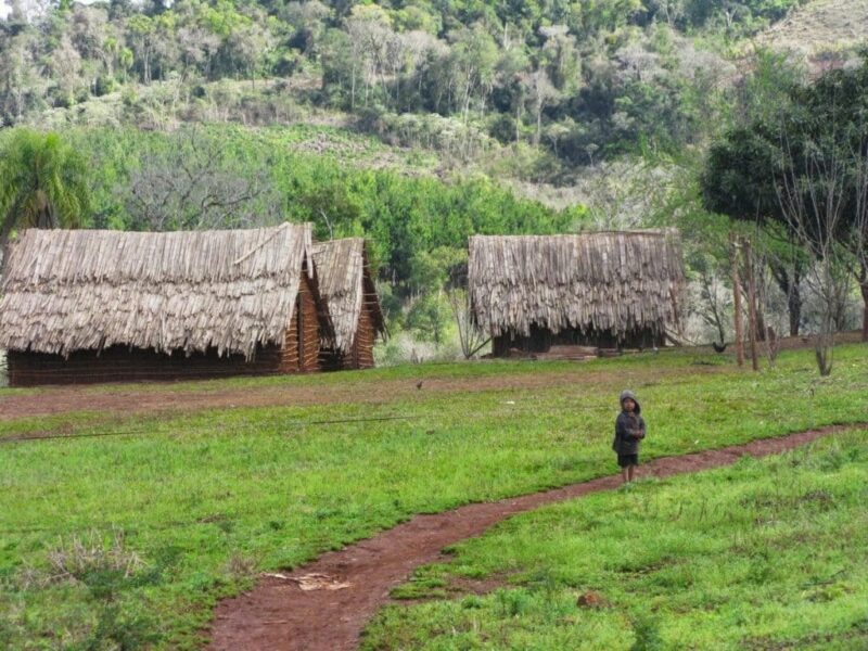 Caraguatay | Comunidad mbyá denunció intrusión y tala de monte nativo Caraguatay.jij - 2